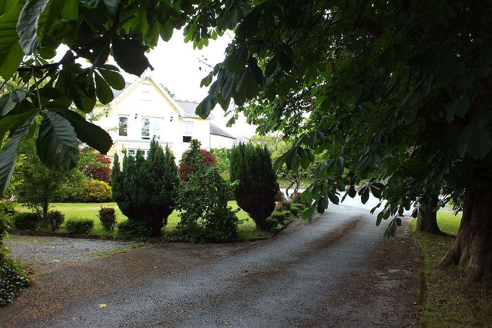 Llwyn Country House Llanelli Exteriör bild